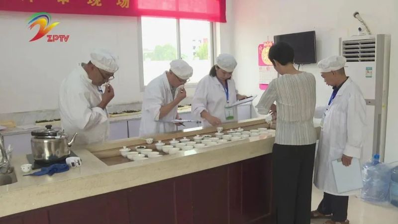 有关于漳平:举办首届茶叶加工(台式乌龙茶)职业技能竞赛的相关内容(2)