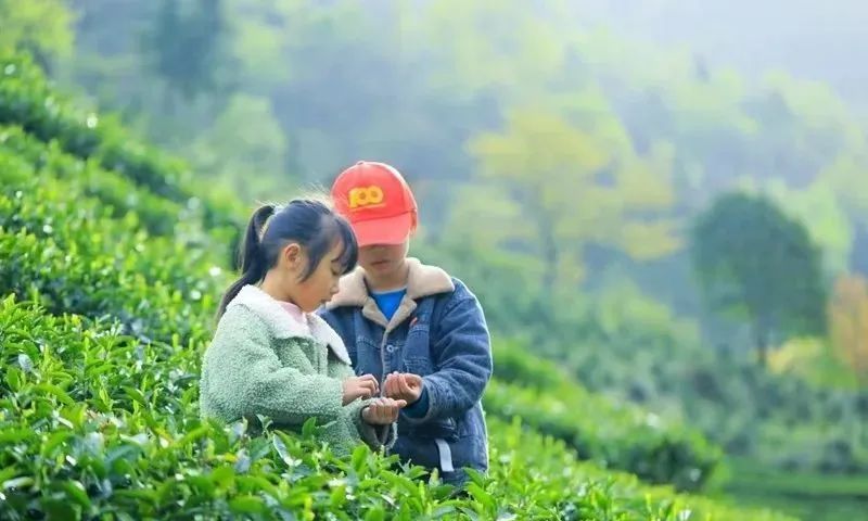 有关于安康市汉滨区双龙镇原生态农场获得陕西省“最美家庭农场”荣誉称号的相关信息(1)