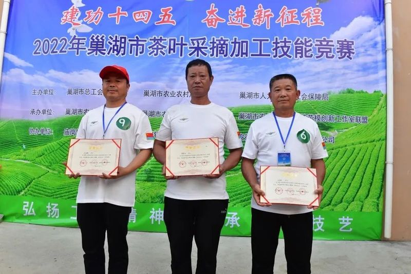 关于弘扬茶文化！巢湖市举办茶叶采摘加工技能竞赛的相关内容(7)