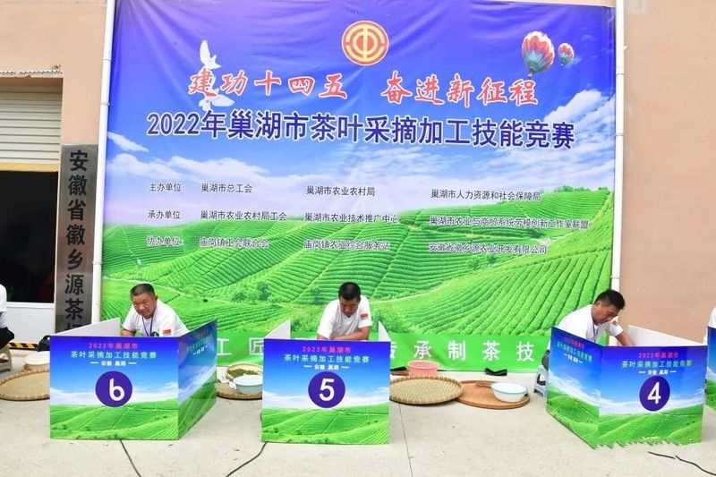 关于弘扬茶文化！巢湖市举办茶叶采摘加工技能竞赛的相关内容
