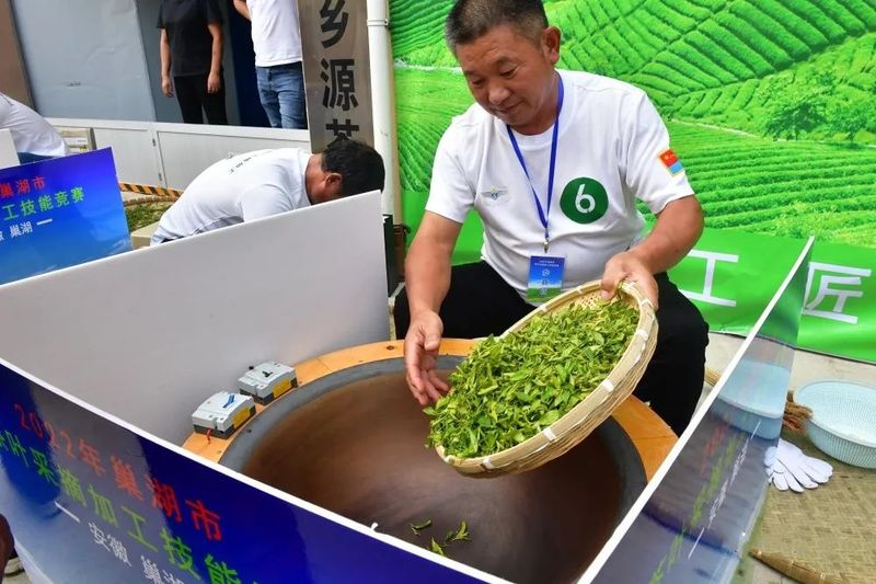 关于弘扬茶文化！巢湖市举办茶叶采摘加工技能竞赛的相关内容(4)