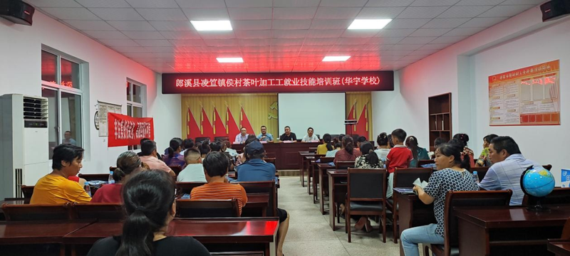 有关于凌笪镇开展茶叶技术培训班的相关信息