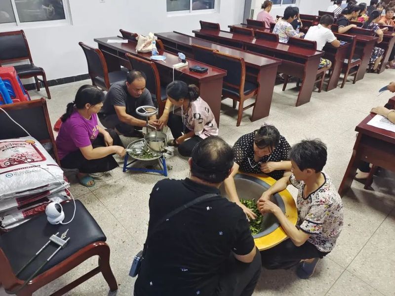 有关于凌笪镇开展茶叶技术培训班的相关信息(1)