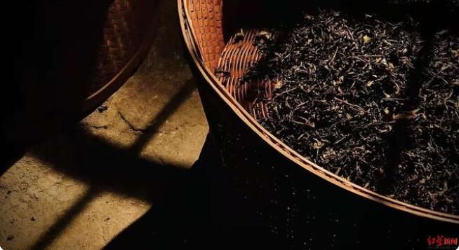 有关于武夷山国家公园：用生态保护与非遗传承泡出一杯好茶的信息(7)