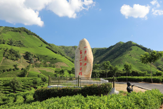 关于地标对话,安吉白茶:纯粹好茶,安吉白茶的内容(3)