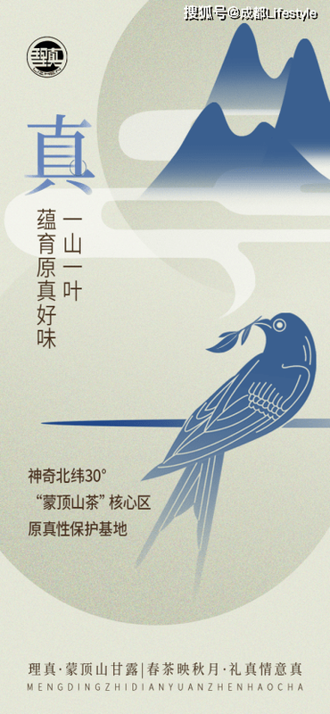 有关于理真匠心打造《那山·那茶·那侠》微电影正式上线的新闻(8)