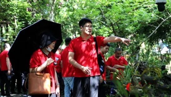 有关于中国茶村,海口施茶村的相关内容(3)