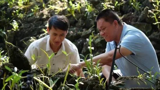 有关于中国茶村,海口施茶村的相关内容(1)