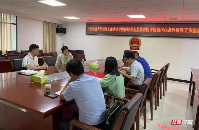 关于保靖黄金茶产业腾飞的“人才密码”的消息(2)