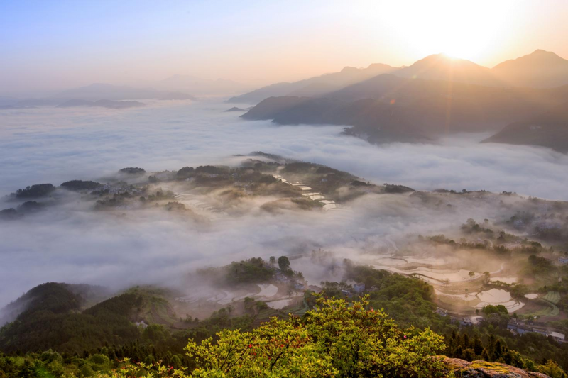 有关于徽茶之旅,游山水福地,览皖西风韵的信息(2)