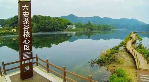 有关于徽茶之旅,游山水福地,览皖西风韵的信息