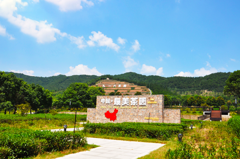 有关于徽茶之旅,游山水福地,览皖西风韵的信息(3)