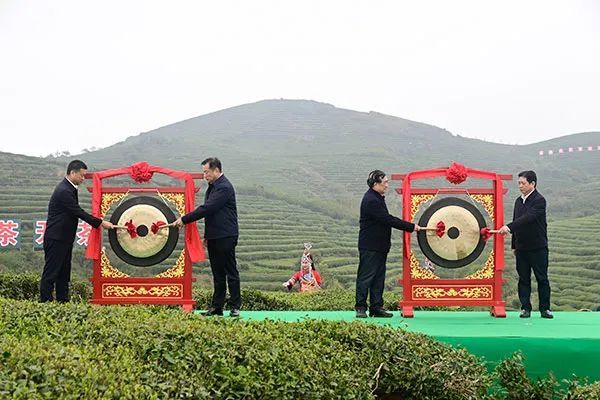 有关于构建茶产业发展新格局 以优异成绩迎接党的二十大的资讯