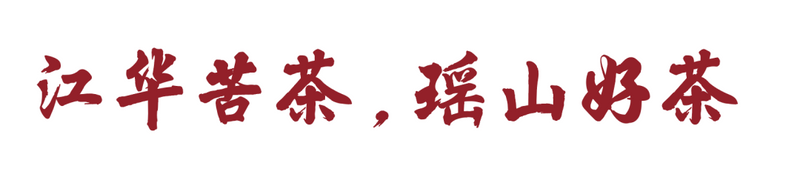 有关于湖南民运会，我被一杯江华苦茶迷了眼的内容(12)