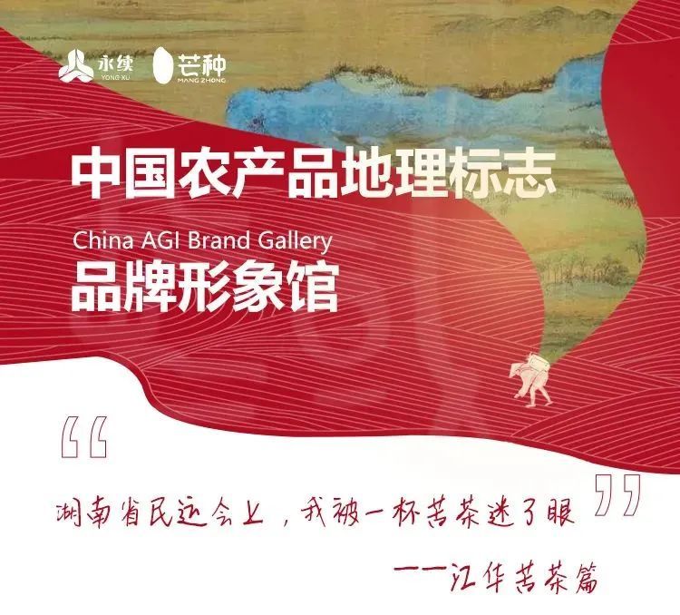有关于湖南民运会，我被一杯江华苦茶迷了眼的内容