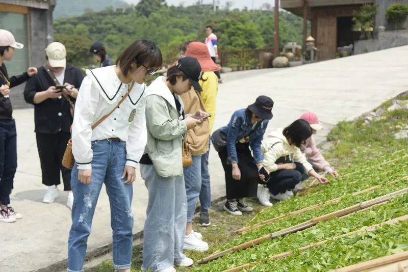 关于福建：注入茶元素，让全域旅游更具活力的内容