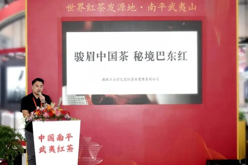 关于正山堂的相关信息(12)