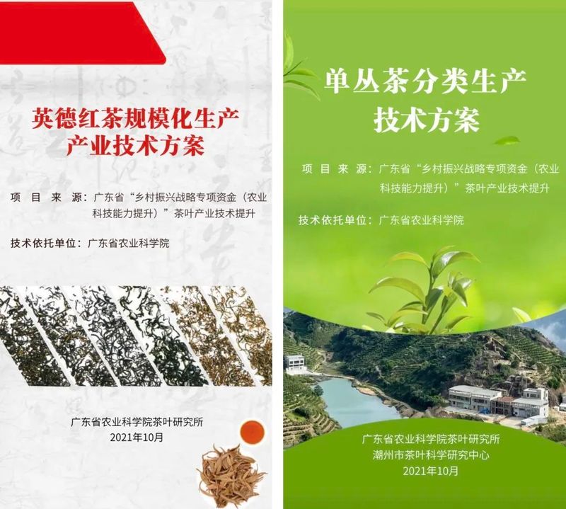 关于佳节邀您共赏“茶”颜“月”色的最新消息(14)