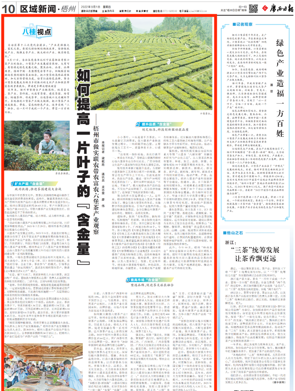 关于如何提高一片叶子的“含金量”——梧州市做实联农带农富农六堡茶产业观察的内容