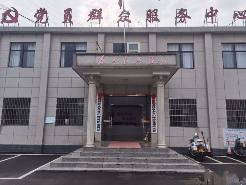 关于团风雪山岭村以茶产业为首要产业与经济支撑的内容(3)