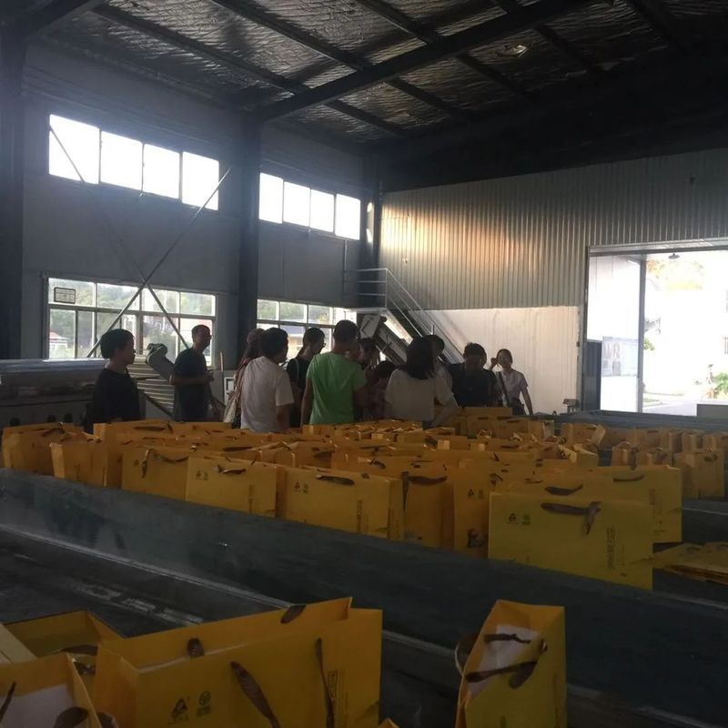 关于团风雪山岭村以茶产业为首要产业与经济支撑的内容(2)