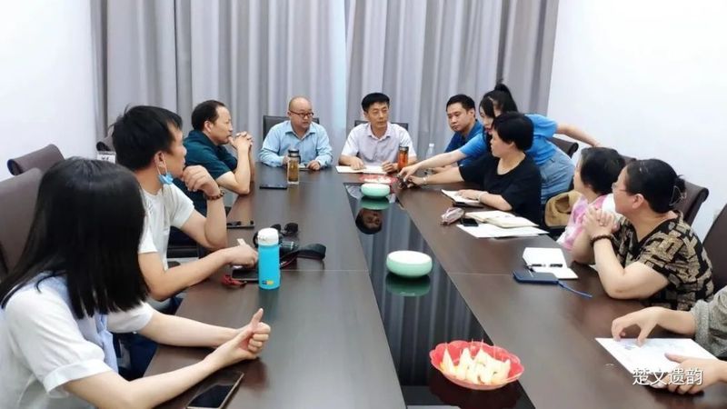 关于团风雪山岭村以茶产业为首要产业与经济支撑的内容(8)