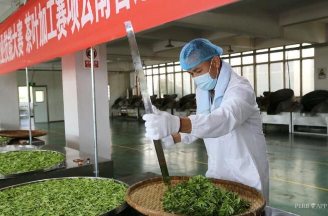 有关于茶香四溢 高手对决!云南省21名“茶匠”齐聚普洱同台竞技的信息