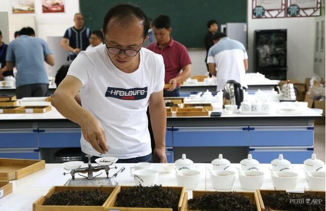 有关于茶香四溢 高手对决!云南省21名“茶匠”齐聚普洱同台竞技的信息(5)
