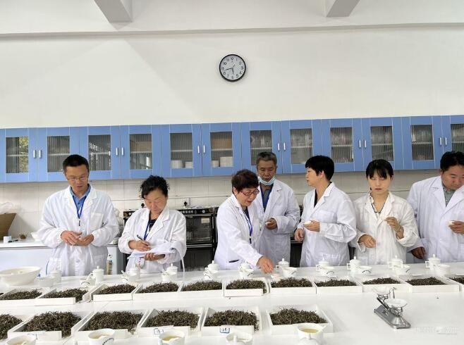 有关于茶香四溢 高手对决!云南省21名“茶匠”齐聚普洱同台竞技的信息(7)