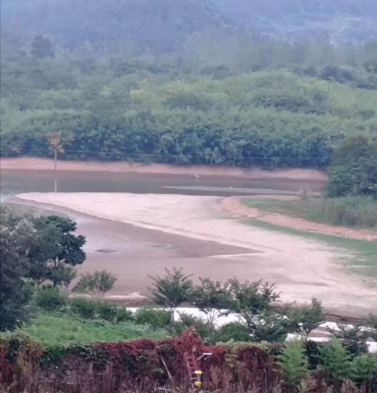 有关于多地茶园干旱严重，茶叶一捏就碎的内容(5)