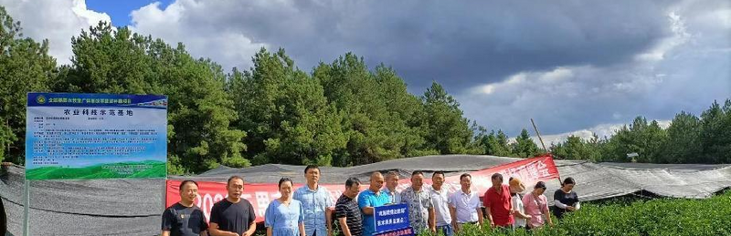 有关于2022年度思南县基层农业技术推广体系改革与建设补助项目茶叶科技试验示范基地建设现场观摩培训会召开的最新消息