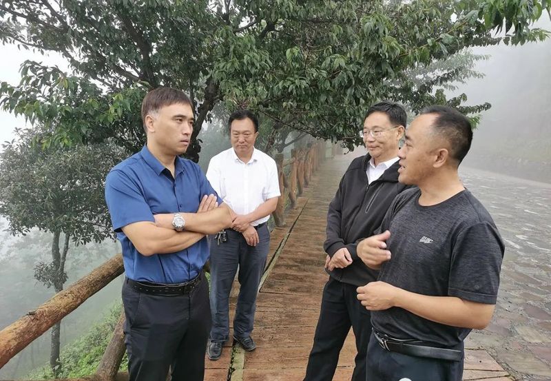 有关于中国农业国际合作促进会茶产业分会一行赴云南省南涧县调研的消息(6)
