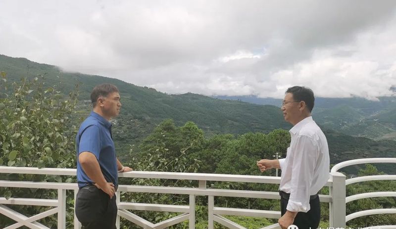 有关于中国农业国际合作促进会茶产业分会一行赴云南省南涧县调研的消息(7)