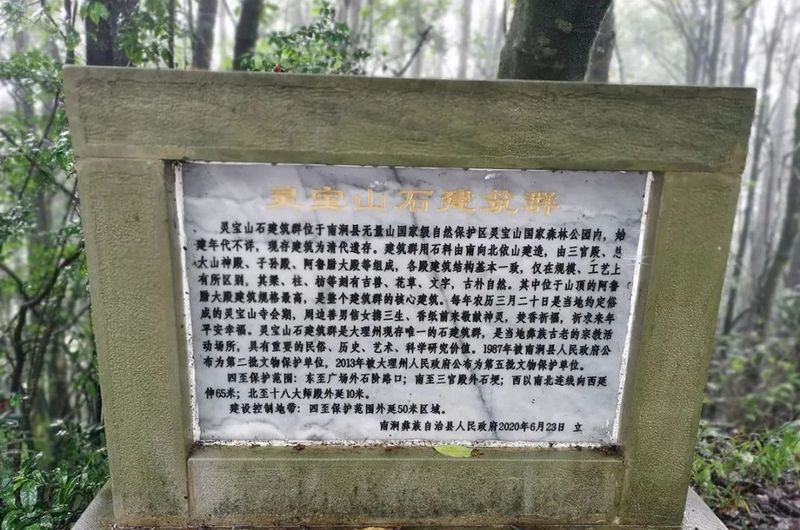有关于中国农业国际合作促进会茶产业分会一行赴云南省南涧县调研的消息(15)