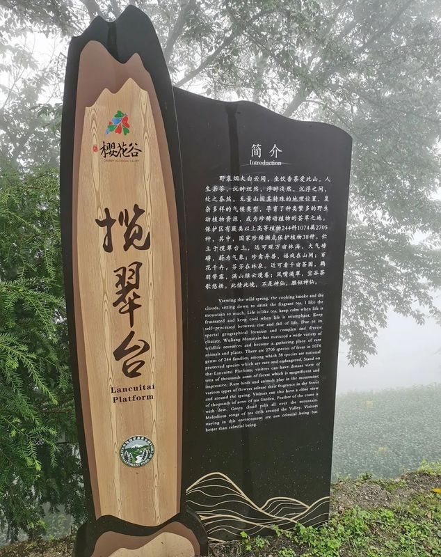 有关于中国农业国际合作促进会茶产业分会一行赴云南省南涧县调研的消息(16)