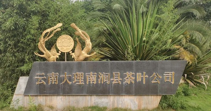 有关于中国农业国际合作促进会茶产业分会一行赴云南省南涧县调研的消息(18)