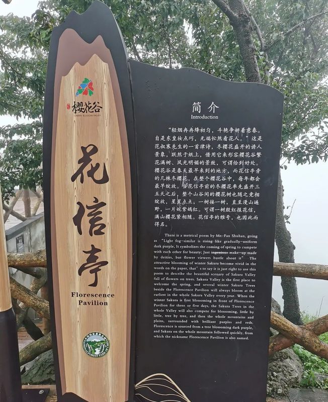 有关于中国农业国际合作促进会茶产业分会一行赴云南省南涧县调研的消息(17)