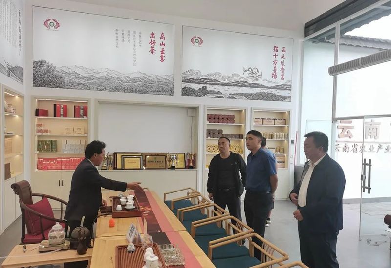 有关于中国农业国际合作促进会茶产业分会一行赴云南省南涧县调研的消息(12)