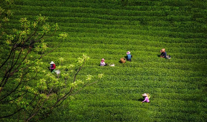 有关于磻溪：打造百姓富、生态美的乡村振兴示范镇的新闻