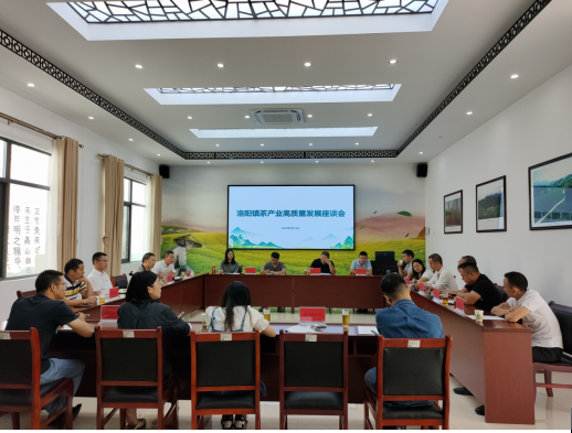 关于擦亮“洛阳高山云雾茶”品牌，推动洛阳茶产业高质量发展！的信息