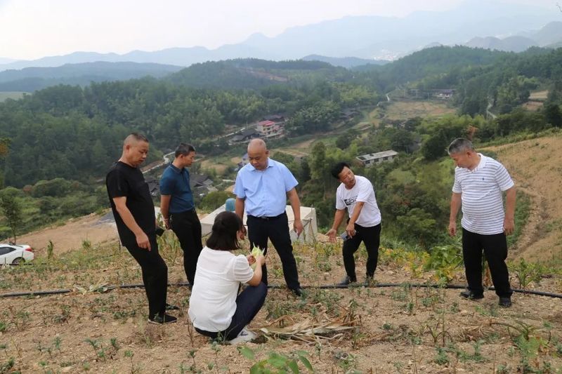 有关于湖南省茶叶研究所张曙光一行到邵阳调研指导茶产业的信息(3)