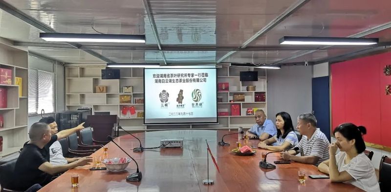 有关于湖南省茶叶研究所张曙光一行到邵阳调研指导茶产业的信息