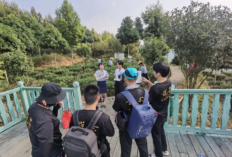 关于“小小叶子”赋能乡村振兴,探访藏在多彩民族里的茶风情的新闻(7)