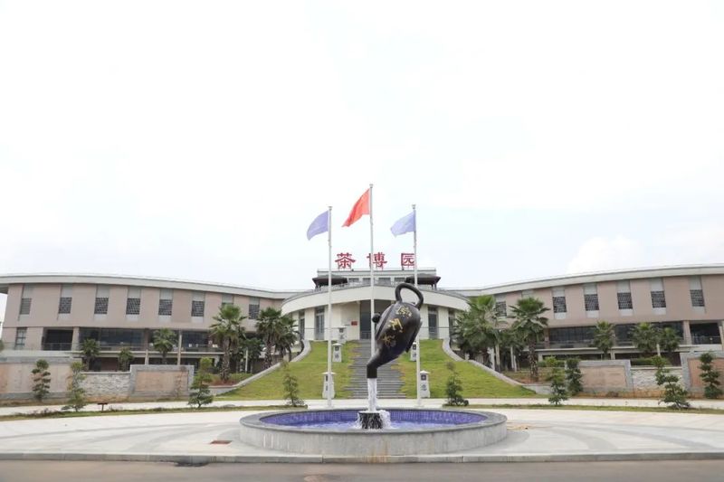 有关于县人大常委会组织驻白沙的省六届人大代表开展乡村振兴茶产业专题调研的信息(5)