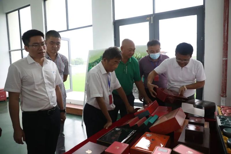 有关于县人大常委会组织驻白沙的省六届人大代表开展乡村振兴茶产业专题调研的信息(4)
