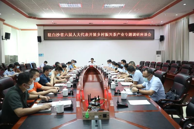 有关于县人大常委会组织驻白沙的省六届人大代表开展乡村振兴茶产业专题调研的信息