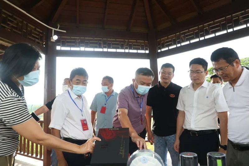 有关于县人大常委会组织驻白沙的省六届人大代表开展乡村振兴茶产业专题调研的信息(2)