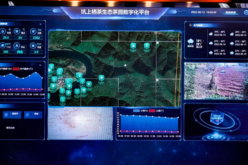有关于全国二等奖！安徽这个5G智慧茶园项目超赞的相关内容