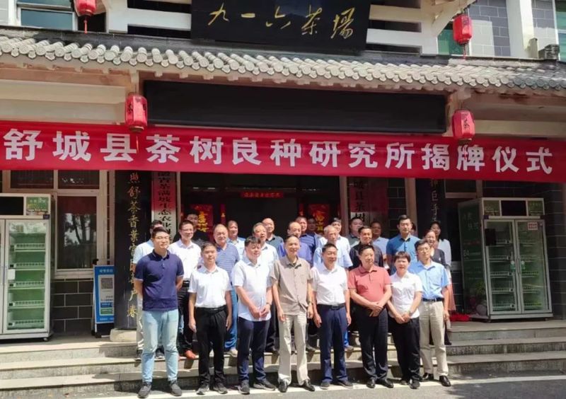有关于舒城县茶树良种研究所正式成立的最新消息(2)