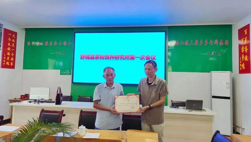 有关于舒城县茶树良种研究所正式成立的最新消息